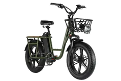 Fiido T1 Utility Electric Bike 45km/h 20-inch All Terrain Fat Tires - Click for more details
