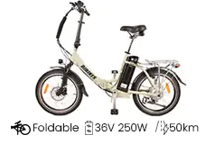 DJ MINI Bike Foldable eBike 250W