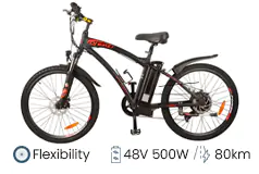 DJ Mountain – All-Road Adventure eBike (500W, 50 miles, 26” Tires, 5 Pedal Assist Levels)  - Click for more details
