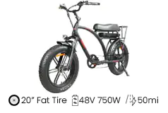 DJ Super eBike Fat Tire – 48V 750W, 80Nm Torque, 20” Fat Tires, 50mi Range  - Click for more details