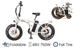 DJ Folding - All-Terrain Portable E-Bike - 750W  - Click for more details