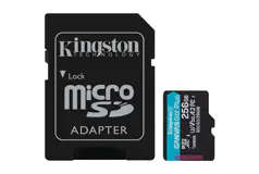 Kingston 256 Go MicroSD avec SD Adaptateur - Cliquez pour plus de détails