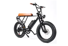 Macfox-M20X Electric Bike,750 W motor with  20”x 4”Fat Tire Beach bike