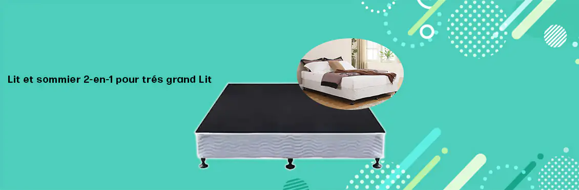 2-in-1 Bed &amp; Box Spring for Queen