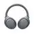 SONY WHXB900N Wireless Noise Canceling Extra Bass Headphones - Grey