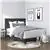 Jedd - 54'' Bed - Charcoal