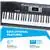 Alesis Melody 61 MKII - 61 Key Music Keyboard / Digital Piano