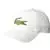 Lacoste Mens Big Croc Twill Adjustable Leather Strap Hat One Size