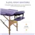 3 Section Massage Table Spa Facial Bed Adjustable Foldable Purple