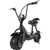 Cruise Electric Scooter 20MPH 500W 48V Fat Tires