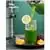 AICOOK 800W Juicer Extractor with 5-Speed Modes