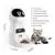 2.5L Automatic Dog Cat Food Feeder with Timer,Voice Recording