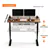48 x 24 inches Electric Standing Desk Adjustable Height