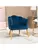 Accent  Modern Chairs with Cushioned Seat, Upholstered Velvet Armchair