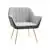 Light Grey Modern Accent Chair with Cushioned Seat and Armes, Upholste