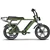 EMMO Paralo Pro 2.0-Powerful 750W-Dual Seater Electric Bike-Green