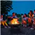 ToyTexx 22 Inch Round Fire Pit with Cover BBQ Grill