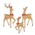 Set of 3 LED Deer Familye