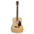 Stadium USA Dreadnought Acoustic Guitar - Best Seller