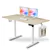 IMGadgets Electric Desk 47.2' X 23.6' with Xiaomi KingSmith A1 Pro