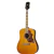 Epiphone IGMTHBNAGH Inspired by Gibson Masterbilt Hummingbird 6-String