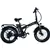 GoTyger 500W 48V 20” 4.0 Fat Tire Foldable eBike - Black