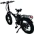 GoTyger 500W 48V 20” 4.0 Fat Tire Foldable eBike - Black