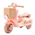 Kids Ride on Motorcycle 6V Electric Motor Trike with LED