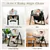 Baby High Chair with Height Adjustments