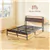 Queen Size Bed Frame with LED Lights and Charging Station, Walnut