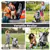 Portable Pet Stroller - Gray