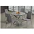 Modern Glass Dining Set - Grey