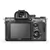 Sony Alpha a7 III Mirrorless Digital Camera (Body Only)