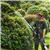 6-in-1 Multi-Functional Trimming Tools Gas Hedge Trimmer 26CC