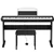 Casio Ultra Compact CSF-10 88 Note Digital Piano Bundle with Bench