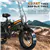 COLORWAY Electric Bike 20' x 4.0 Fat Tire 750W 7 Gears Black