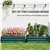 2 Raised Garden Beds Outdoor Planter Box  for Gardening.