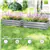 2 Raised Garden Beds Outdoor Planter Box for Outdoor/Indoor Gardening