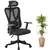 MotionGrey - MC3 Office Chair - Comfy High Mesh Back Support with Adju