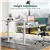 48' Electric Standing Desk with Adjustable Height