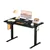 48' Electric Standing Desk with Adjustable Height