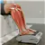 DR-HO’S MotionCiser Leg Exerciser & HENU Cordless Neck Massager