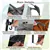 2 Rooms Oversize Privacy Shower Tent