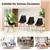 Modern Wooden Leg Dining Chair (Set of 4) - Black