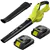 20 V Cordless Leaf Blower with Dual Batteries & Charger