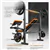 6-in-1 Adjustable Weight Bench & Rack Set