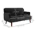 Modern Velvet Fabric Loveseat - Black