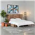Rustic Classics Stow Queen Murphy Cabinet with Mattress in Beachwood