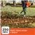 BLACK+DECKER 3-in-1 Leaf Blower Vacuum & Mulcher
