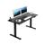 Electric Standing Desk 140 x 60cm, Adjustable Height Desk(Black)